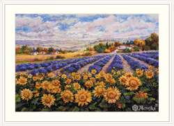 Merejka - Fields of Lavender & Sun