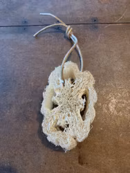 Loofa - shower sponge