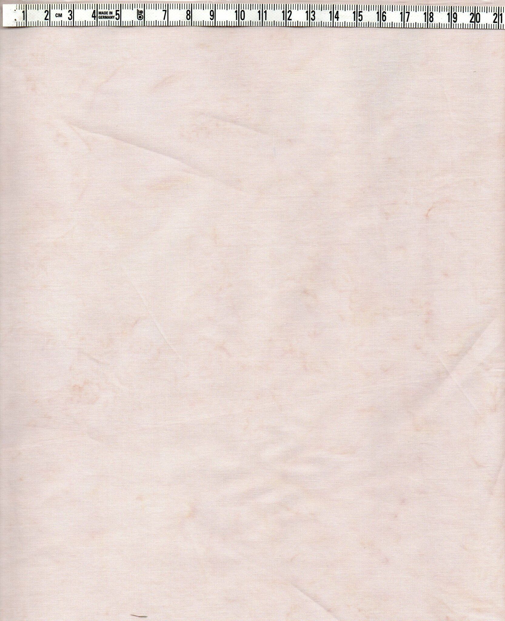 Ljus beigerosa