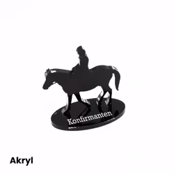 Bordkort hest