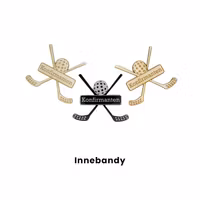 Bordkort - Innebandy