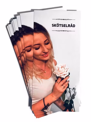 Skötselråd