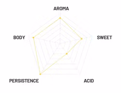 Passalacqua Cremador gemahlener Kaffee 250g VacPac