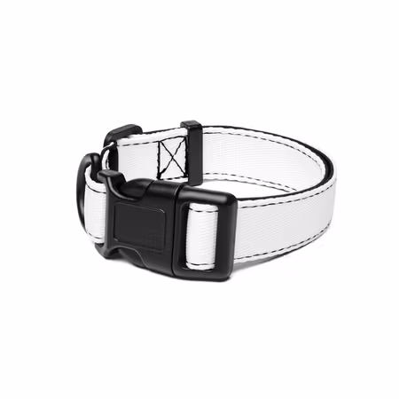 Hundhalsband SHW - White - S