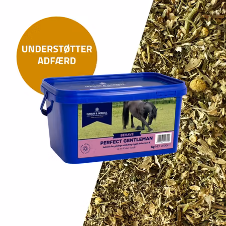 D&H Perfect Gentleman 1 kg