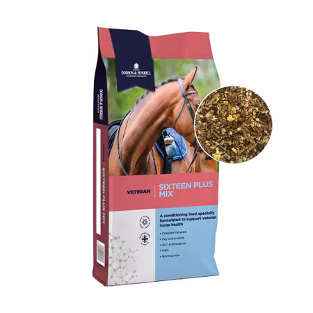 D&H Sixteen Plus Mix 20 kg