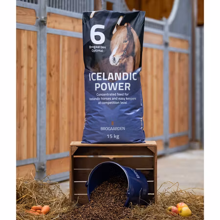 Optimal 6 - Icelandic Power 15 kg