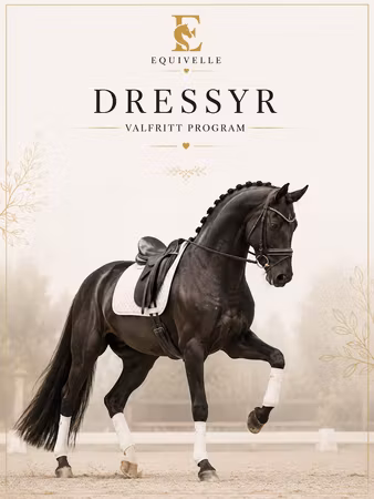 Sommarutmaningen - Dressyr