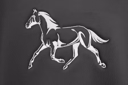 Bilklädsel Activity Cover Häst