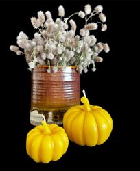 Bivaxljus Pumpkin 2 i pack