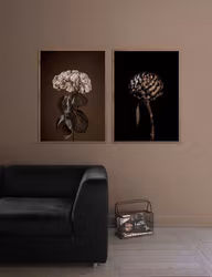 Poster Majestically brown, FSC papper