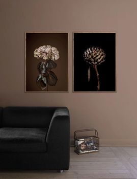 Poster Majestically brown, FSC papper