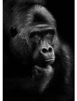 Poster Thinking gorilla, FSC papper