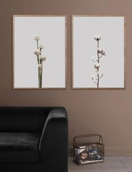 Poster Cotton flower, FSC papper
