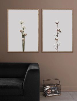 Poster Cotton flower, FSC papper