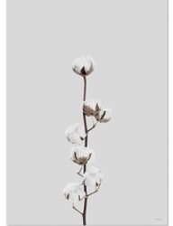 Poster Cotton flower, FSC papper