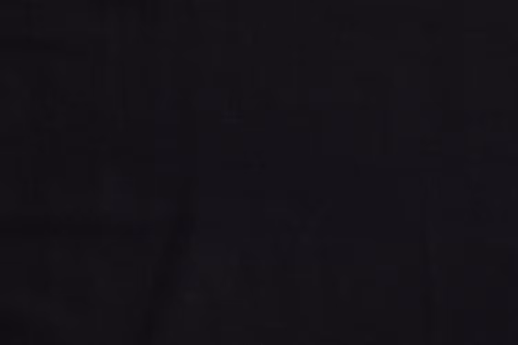Ylva blazer svart