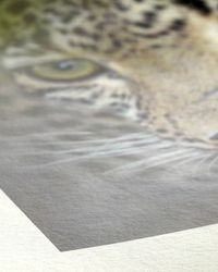 Hahnemühle Bamboo 290 g