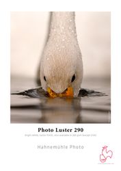 Hahnemühle Photo Luster 290g