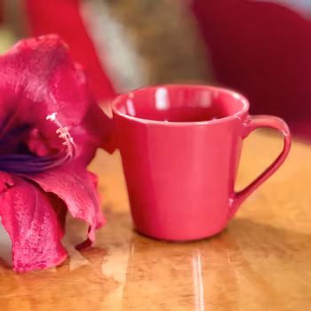 Mugg röd Sagaform