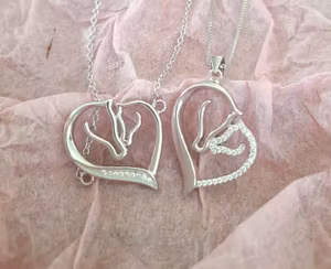 Halsband och Armband, äkta silver