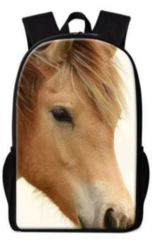 Ryggsäck
