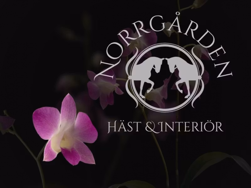 Norrgården Häst & Interiör