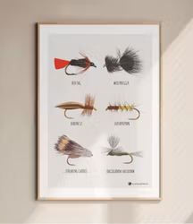 The Fly Fisher Poster