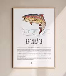 Retro Fisk Poster