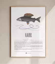 Retro Fisk Poster