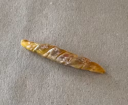 Bröd