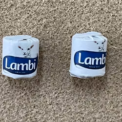 Två rullar toalettpapper