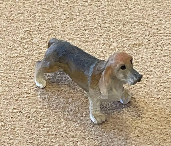 Hund