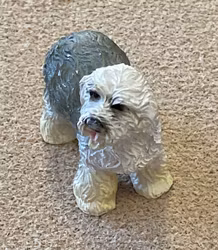 English Sheepdog