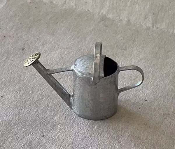 Söt Vattenkanna i metall