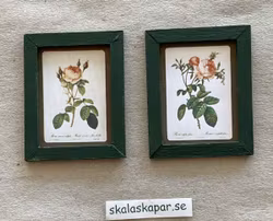 Tavlor med rosor, 2 st, grön träram