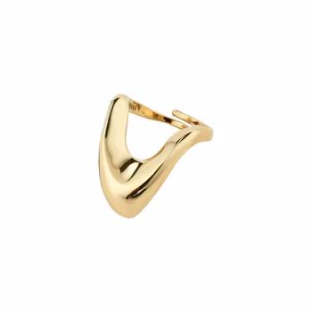 Cloud Recycled Ring Gold Pilgrim