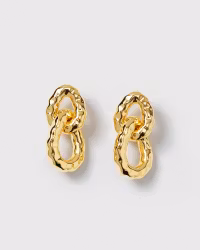 Bolded Hammered Links Earrings Gold Syster P