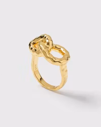 Bolded Hammered Links Ring Gold Syster P