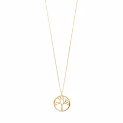 Alia Recycled Necklace Gold Pilgrim