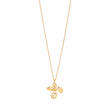 Dream Necklace Gold Pilgrim