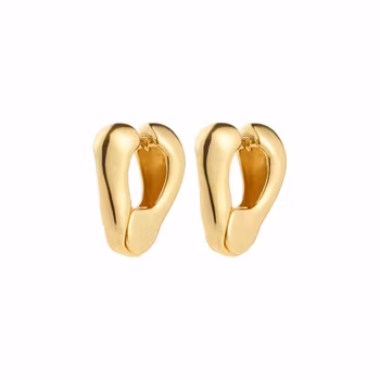 Free Earrings Gold Pilgrim