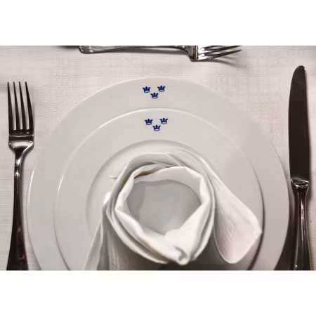 Mässporslin assiett 4-pack (överskottsvara klass 1)