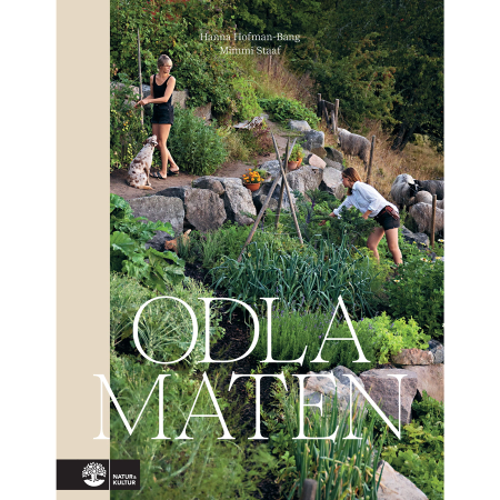 Odla maten