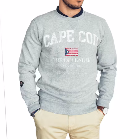 The Defender sweatshirt Grå S-L