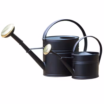 Vattenkanna svart, 2L