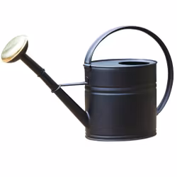 Vattenkanna svart, 7L
