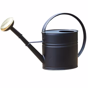 Vattenkanna svart, 7L