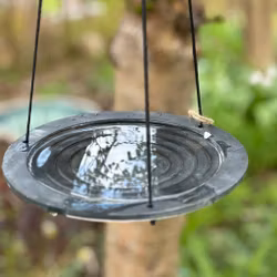 Fågelbad trappa från Eldgarden