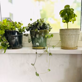 Kruka Pearl mini i 3 gröna nyanser, BGreen